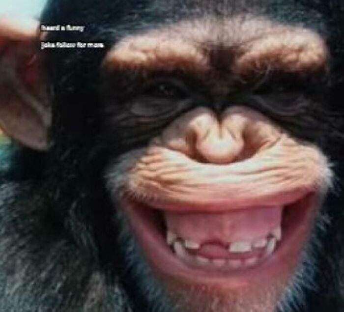 That Famous Creepy ‘Ugly Guy’ Image? Might Be a Chimpanzee!