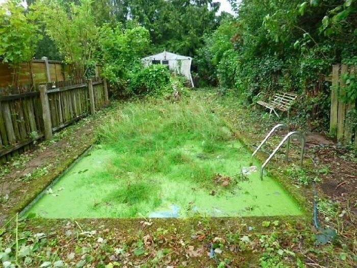 If The Weather Clears, I Might Mow The Pool