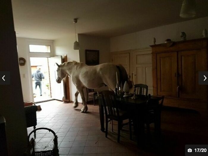 "You Check Upstairs, Sandra. I’ll Check The Stables."