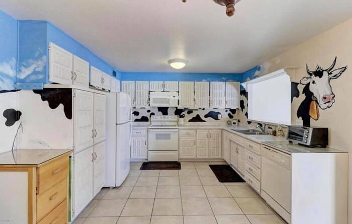 Wait, They Actually Listed These Hilariously Terrible Houses?