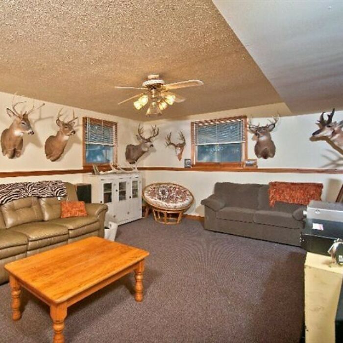 Wait, They Actually Listed These Hilariously Terrible Houses?