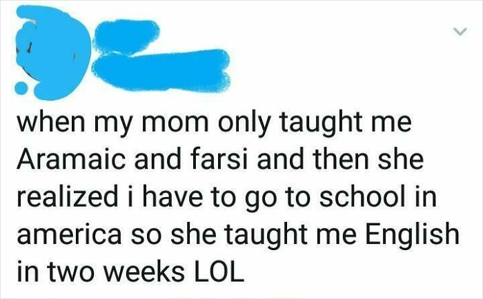 I Learned A Language In 2 Weeks (Obviously)