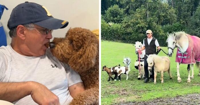 Wait, They Actually Became Pet Lovers?!