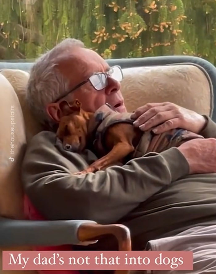 Not-A-Dog-Person? No Problem!