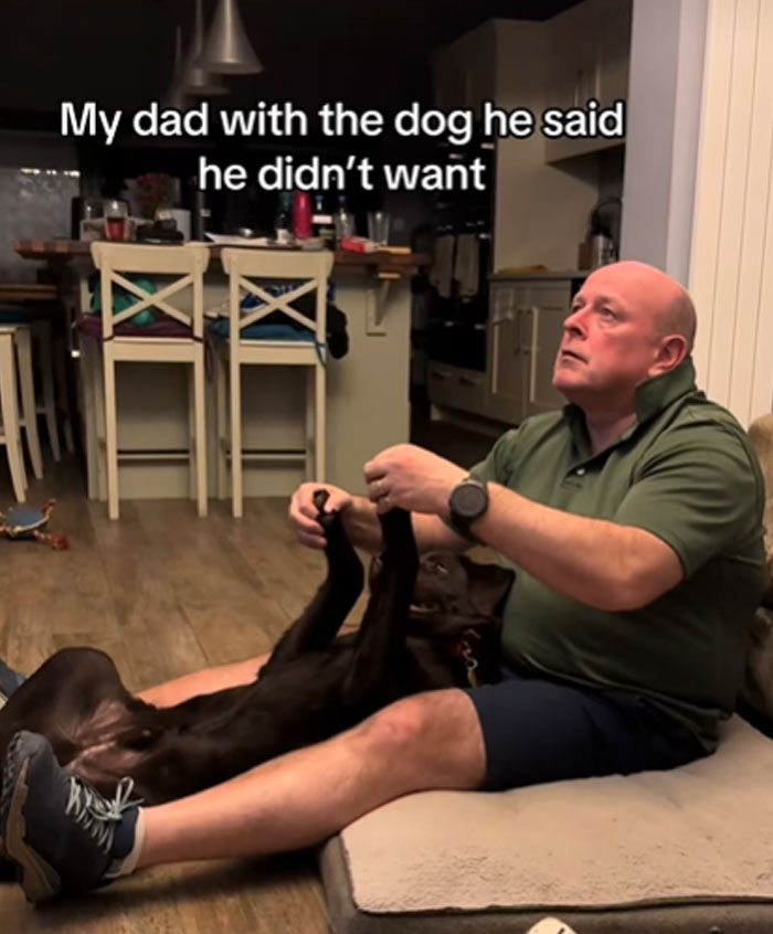Dad’s Change of Heart: Dog Edition