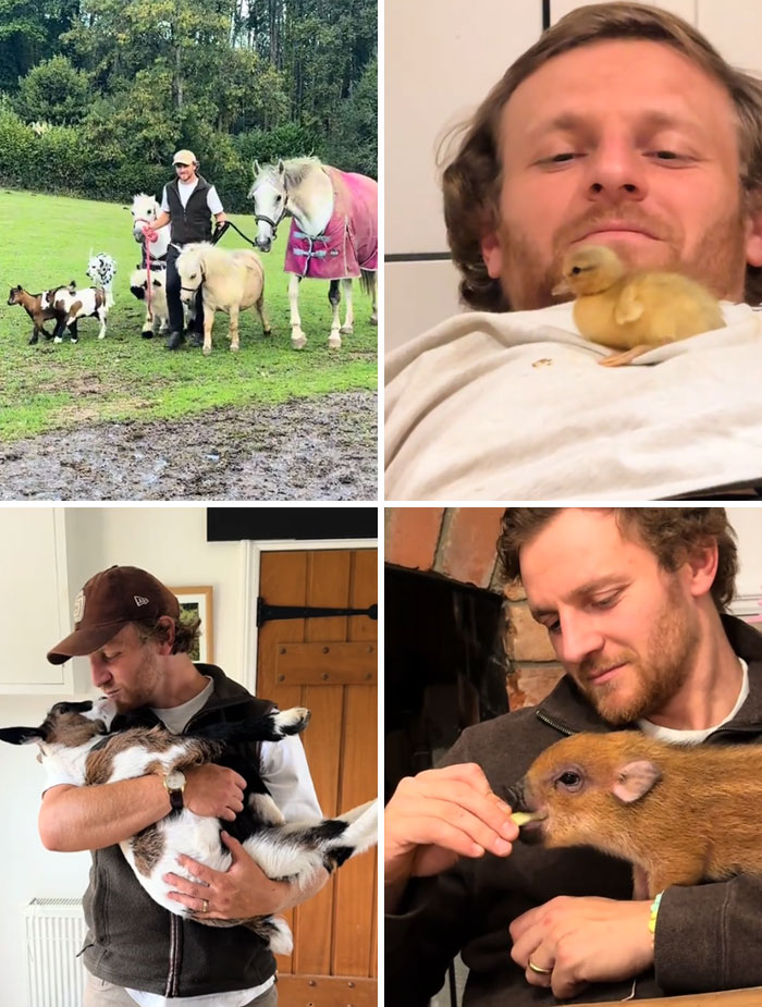 Hubby vs. Pets: The Surprise Win