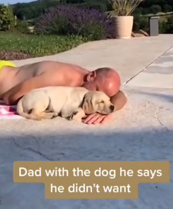 Dad + Dog = New Best Friends