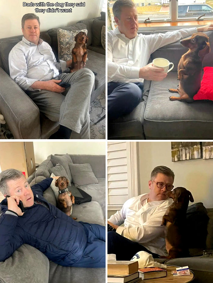 Remember When Dad Said No Dog?