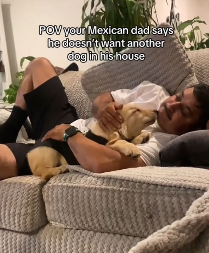 Who’s Not Wanting the Dog Now?