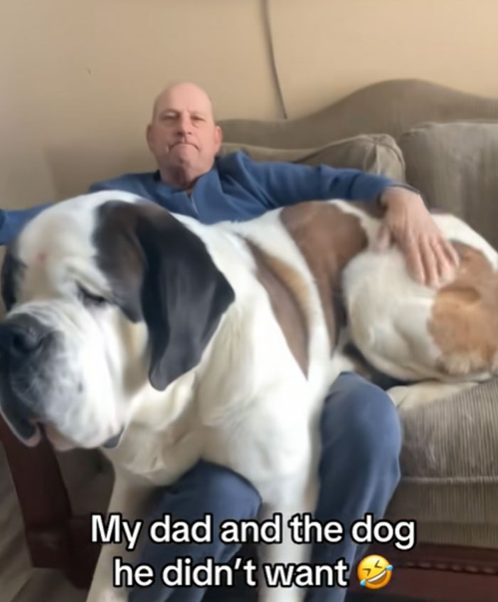 Wait, That’s a Horse?!