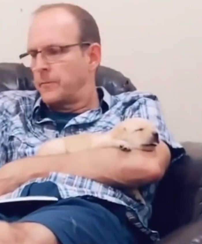Dad’s Doggy Redemption