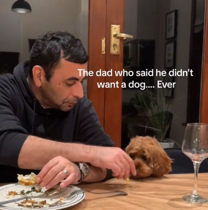 The Dad Who Said No Dog (But Yes)