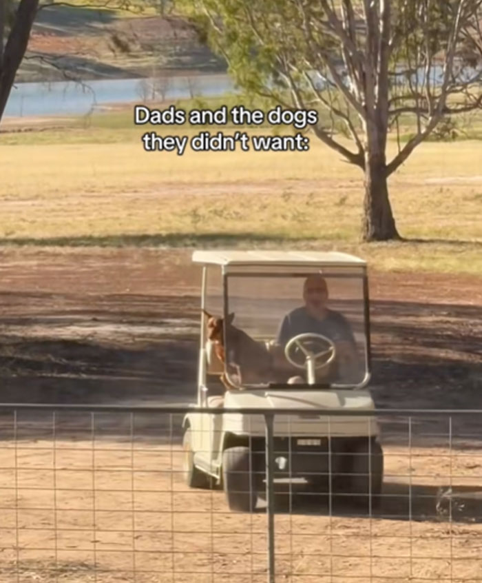 Dad and the Dog: A Love Story