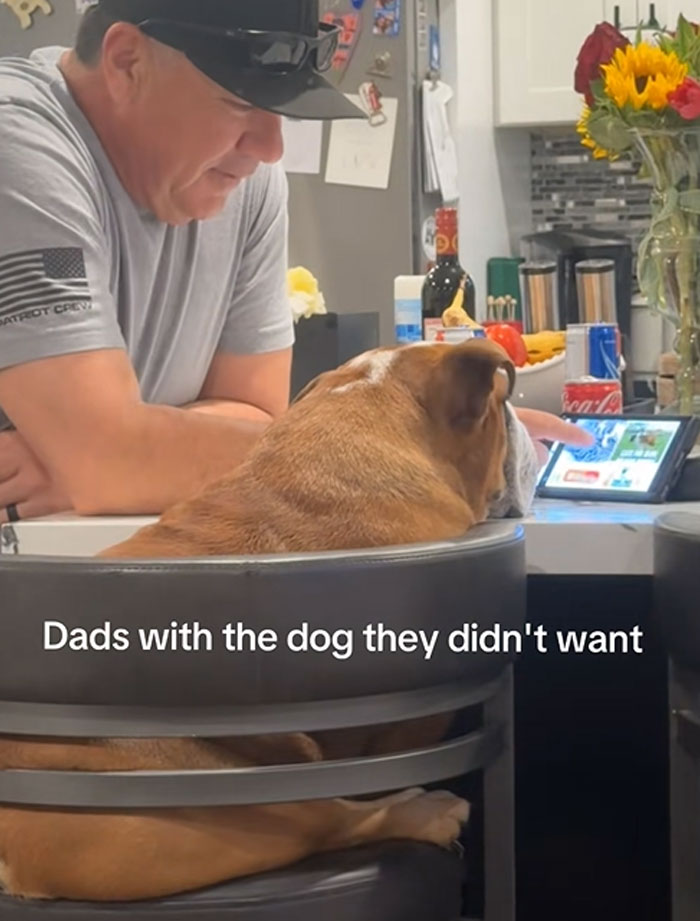 Dad Finally Admits He Likes Dogs