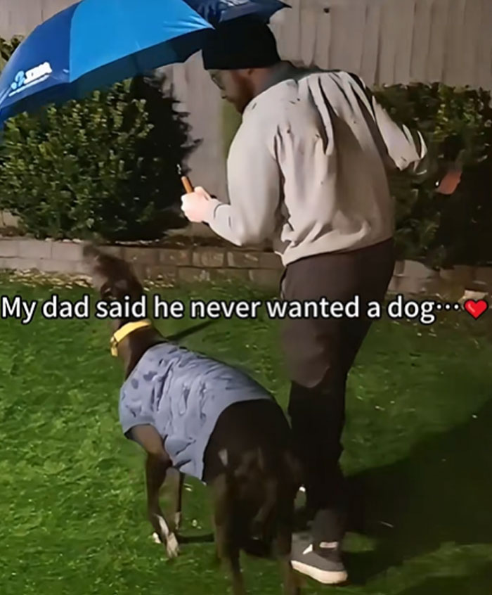 My Dad Said No Dog... Until This