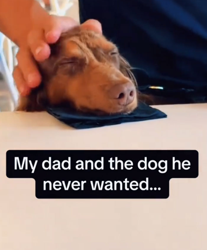The Dog He Pretended Not to Want