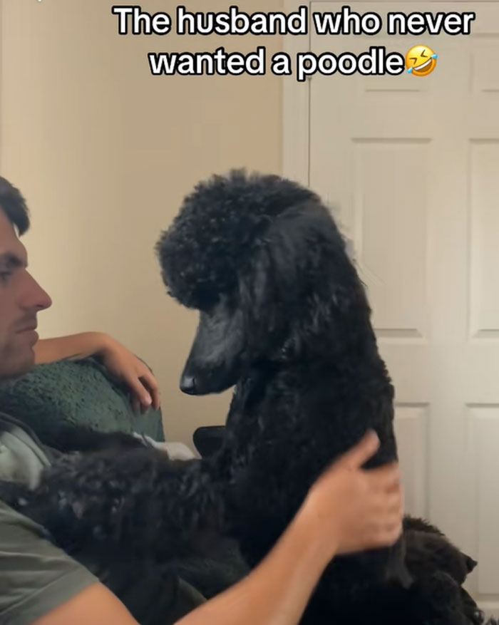 Two Poodles Make It Better
