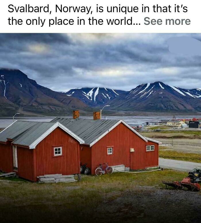 Huge If True... Or Not?