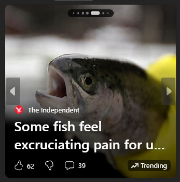 Even The Fish Feel You