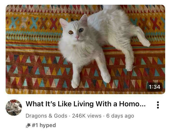 Homo? Hmm...