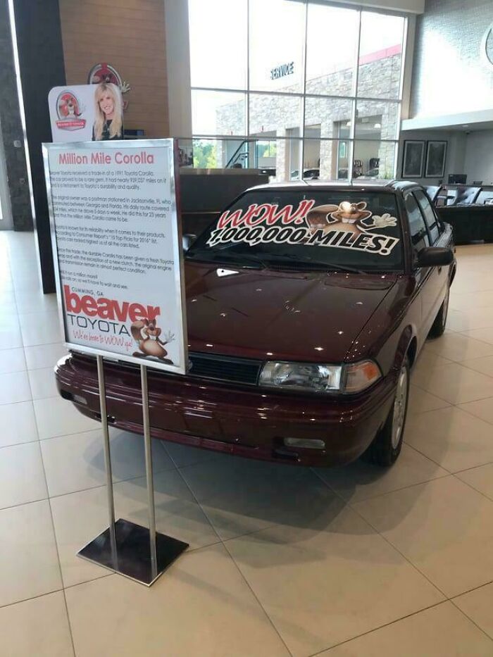 Wait, People Actually Keep Stuff Forever? 71 Awesome 'Buy It Once' Winners