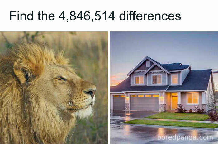 Spot The (No) Differences