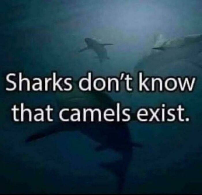 Totally Baffled Here