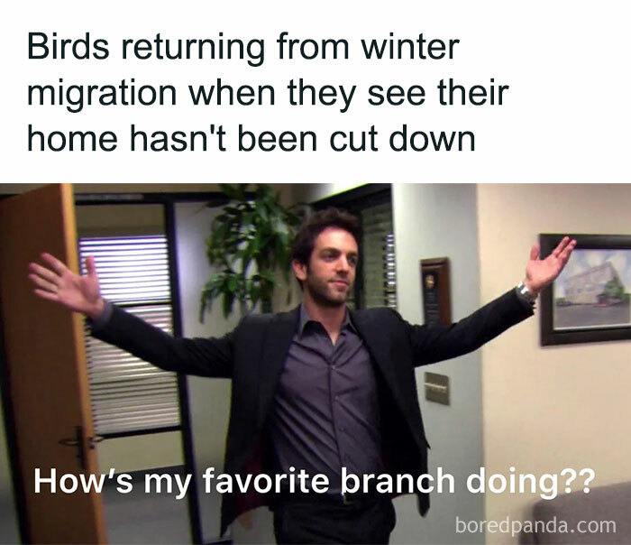 Bird Puns? Nope, Just Bird Facts