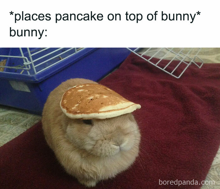 Oh My Lord, Seriously
