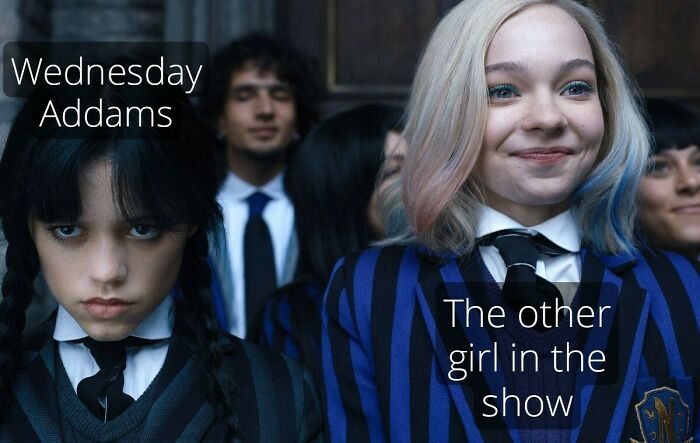 Sorry, Haven’t Seen It LOL