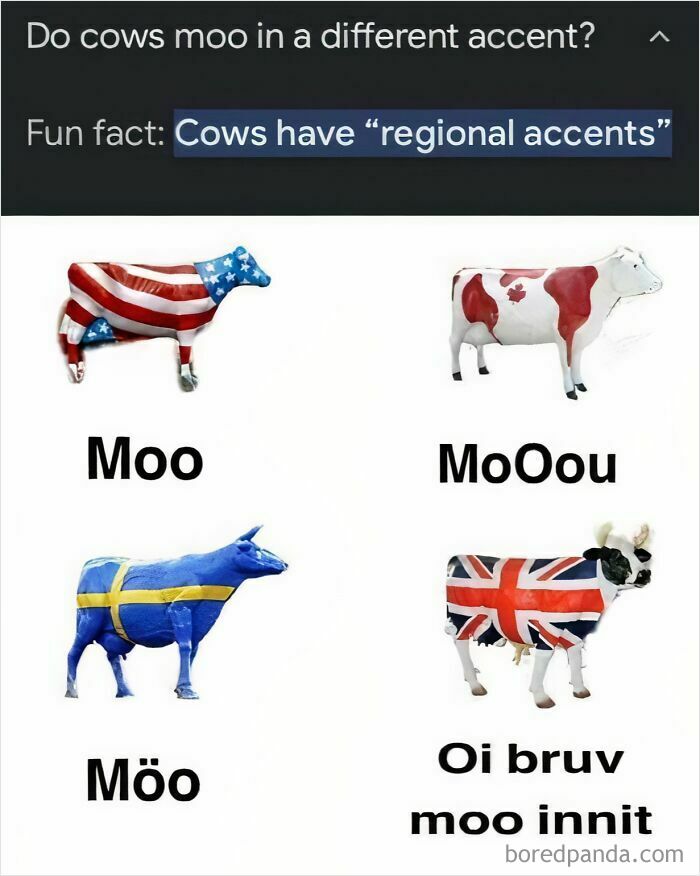 The Wildest British Jokes That’ll Make You Snort, Sigh, and Snicker