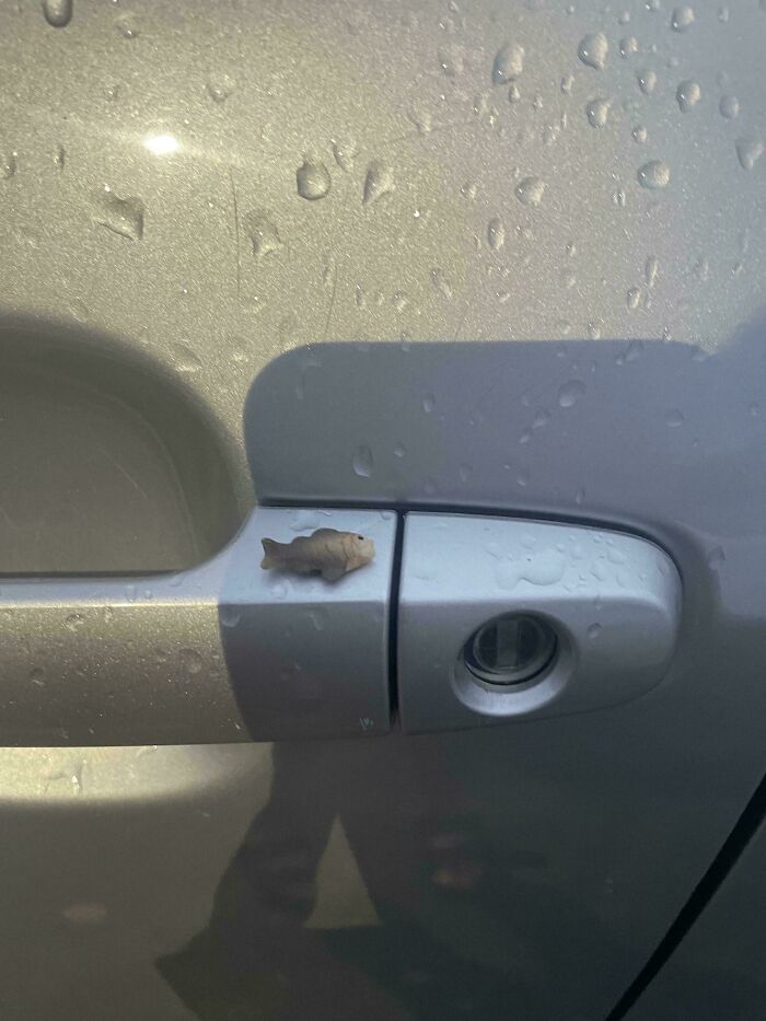 Someone Stuck A Plastic Fish On My Car Handle. Why?