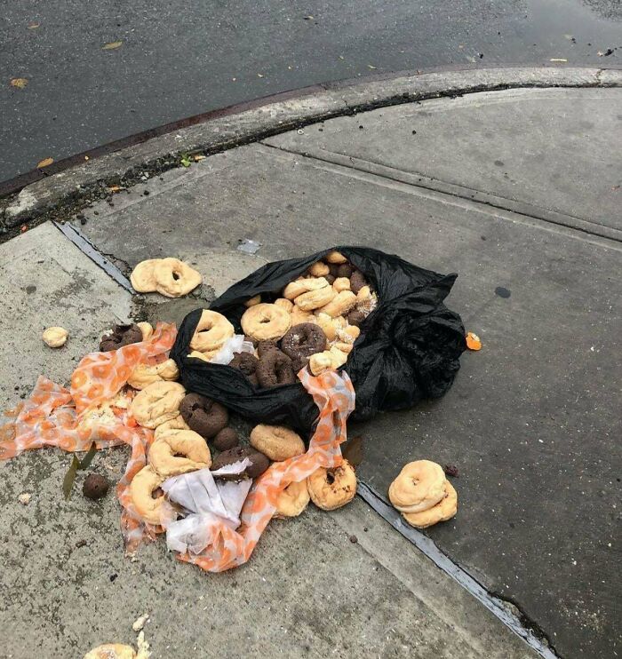 Why Are These Bagels Just Sitting On The Sidewalk?