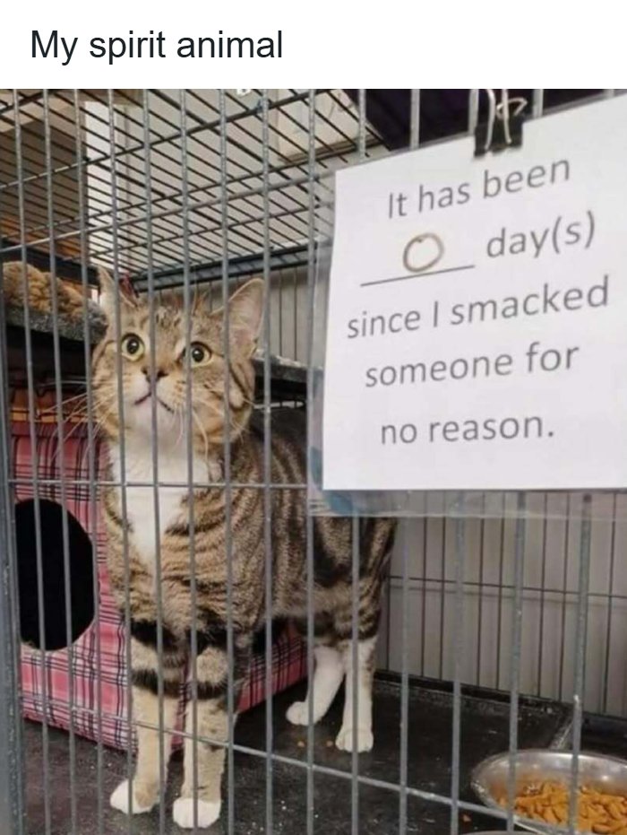 Wait, These Memes Actually Nailed It! 50+ Jokes That Hit Different