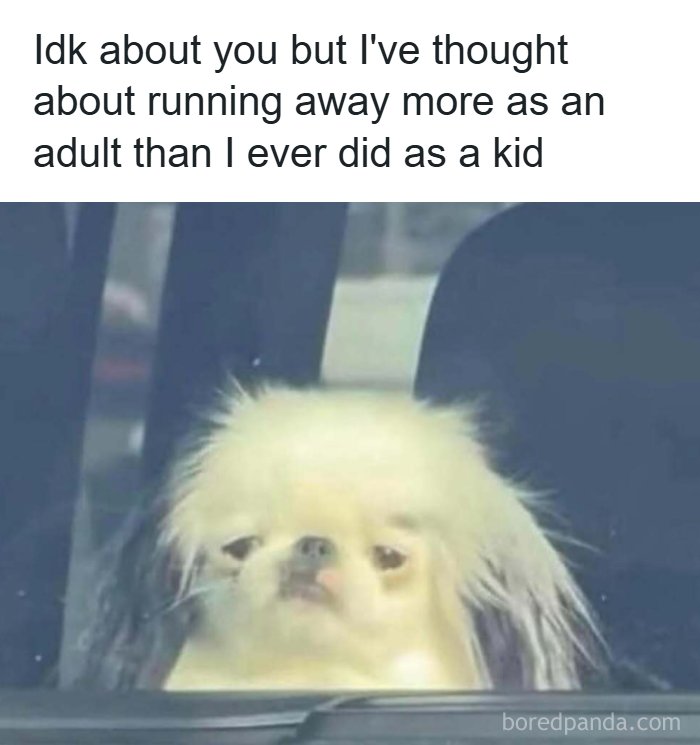 Wait, These Memes Actually Nailed It! 50+ Jokes That Hit Different