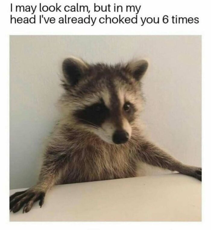 Wait, These Memes Actually Nailed It! 50+ Jokes That Hit Different