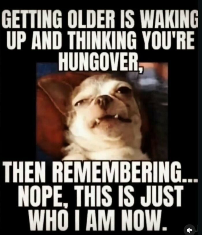 Wait, These Memes Actually Nailed It! 50+ Jokes That Hit Different