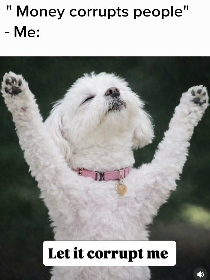 Wait, These Memes Actually Nailed It! 50+ Jokes That Hit Different