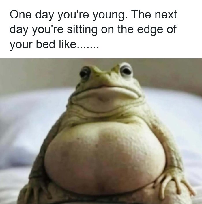 Wait, These Memes Actually Nailed It! 50+ Jokes That Hit Different