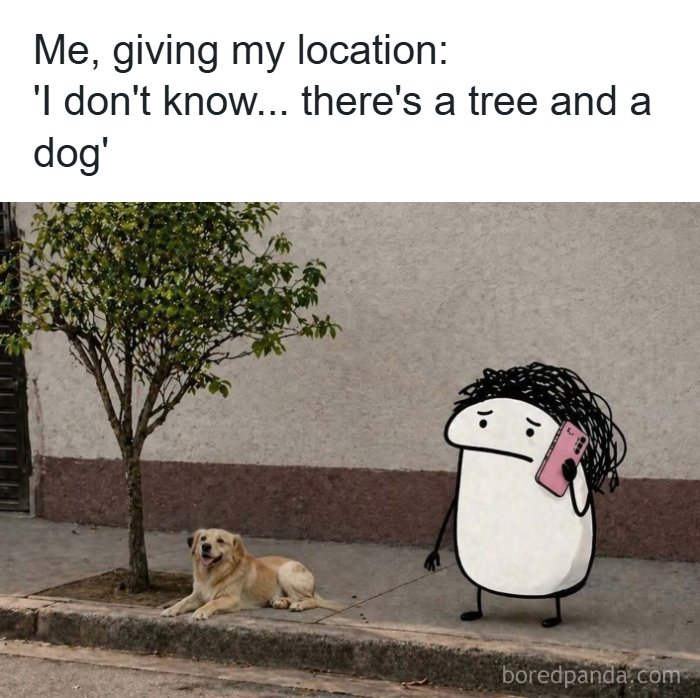 Wait, These Memes Actually Nailed It! 50+ Jokes That Hit Different