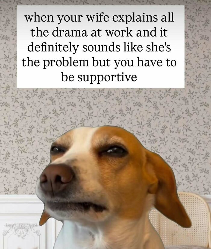 Wait, These Memes Actually Nailed It! 50+ Jokes That Hit Different