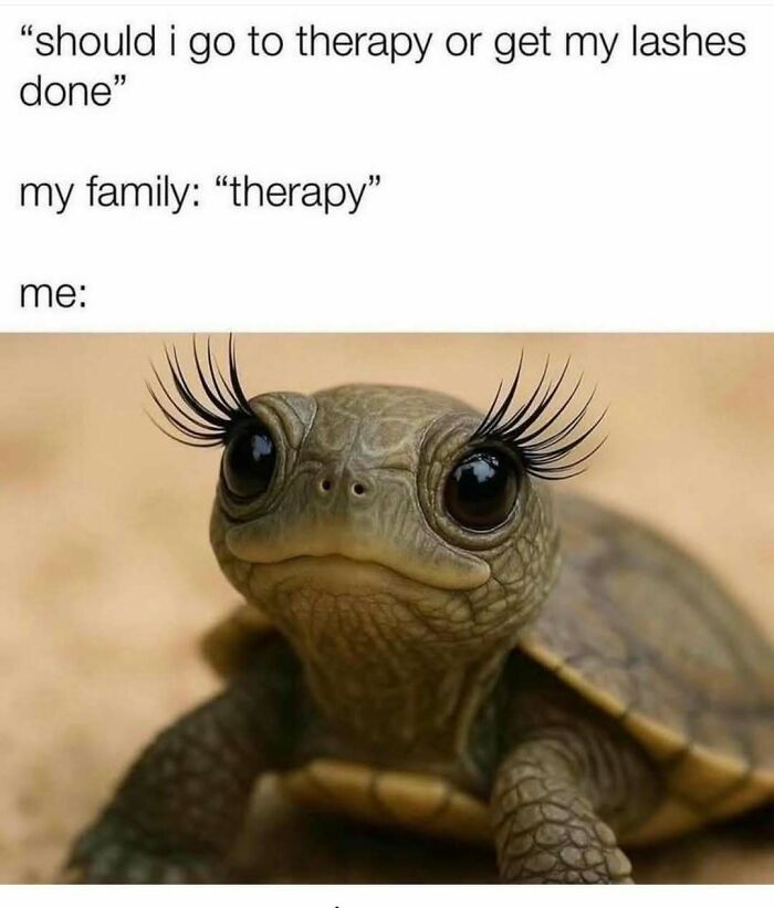 Wait, These Memes Actually Nailed It! 50+ Jokes That Hit Different