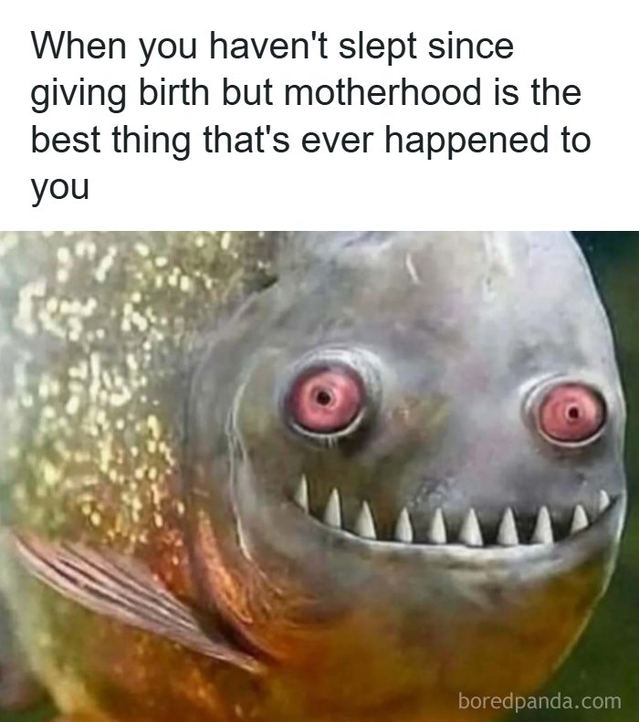 Wait, These Memes Actually Nailed It! 50+ Jokes That Hit Different