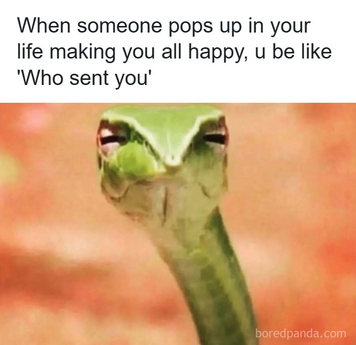 Wait, These Memes Actually Nailed It! 50+ Jokes That Hit Different
