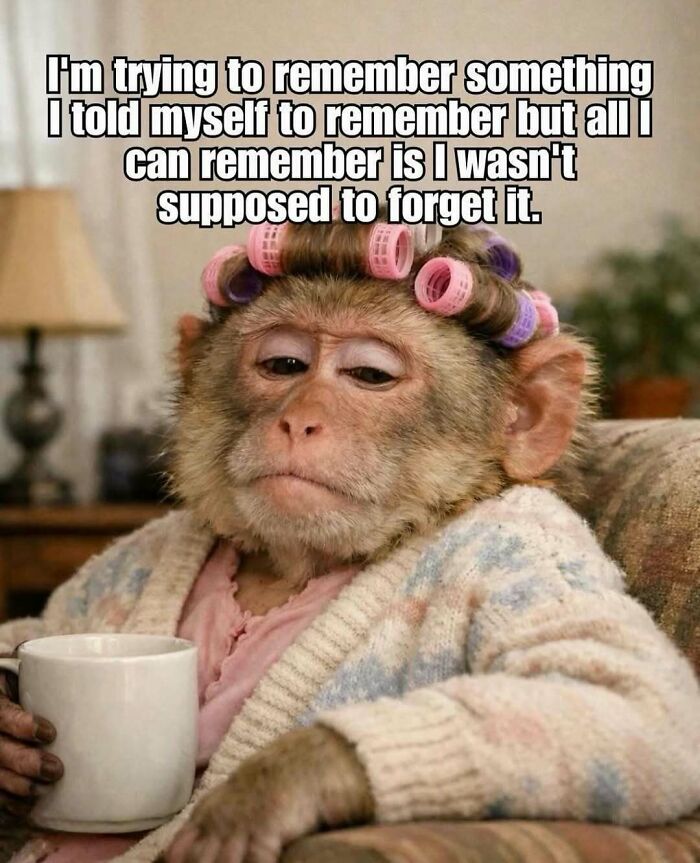 Wait, These Memes Actually Nailed It! 50+ Jokes That Hit Different