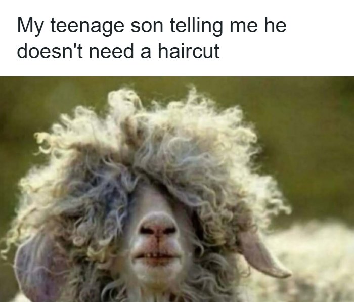 Wait, These Memes Actually Nailed It! 50+ Jokes That Hit Different