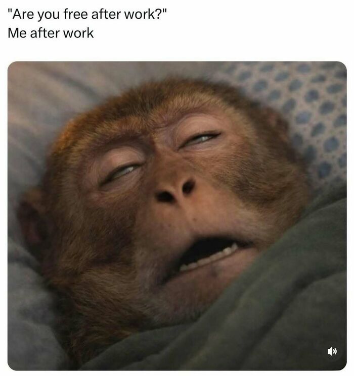 Wait, These Memes Actually Nailed It! 50+ Jokes That Hit Different