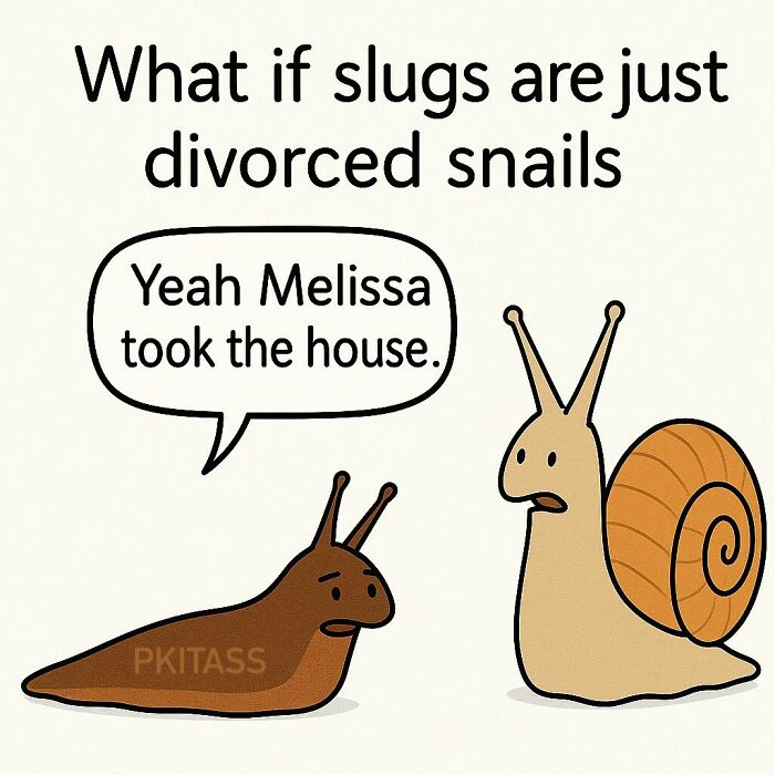 Wait, These Memes Actually Nailed It! 50+ Jokes That Hit Different