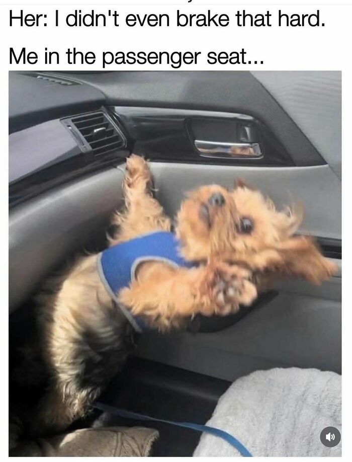 Wait, These Memes Actually Nailed It! 50+ Jokes That Hit Different