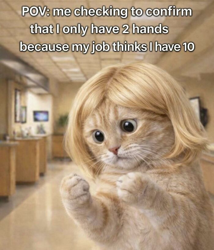 Wait, These Memes Actually Nailed It! 50+ Jokes That Hit Different